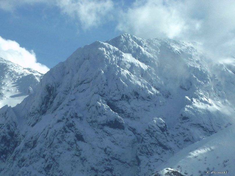 GIGILOS -February 2015