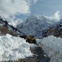 OMALOS -February 2015
