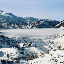 OMALOS Plateau